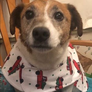 Meet your Posher, Annmarie